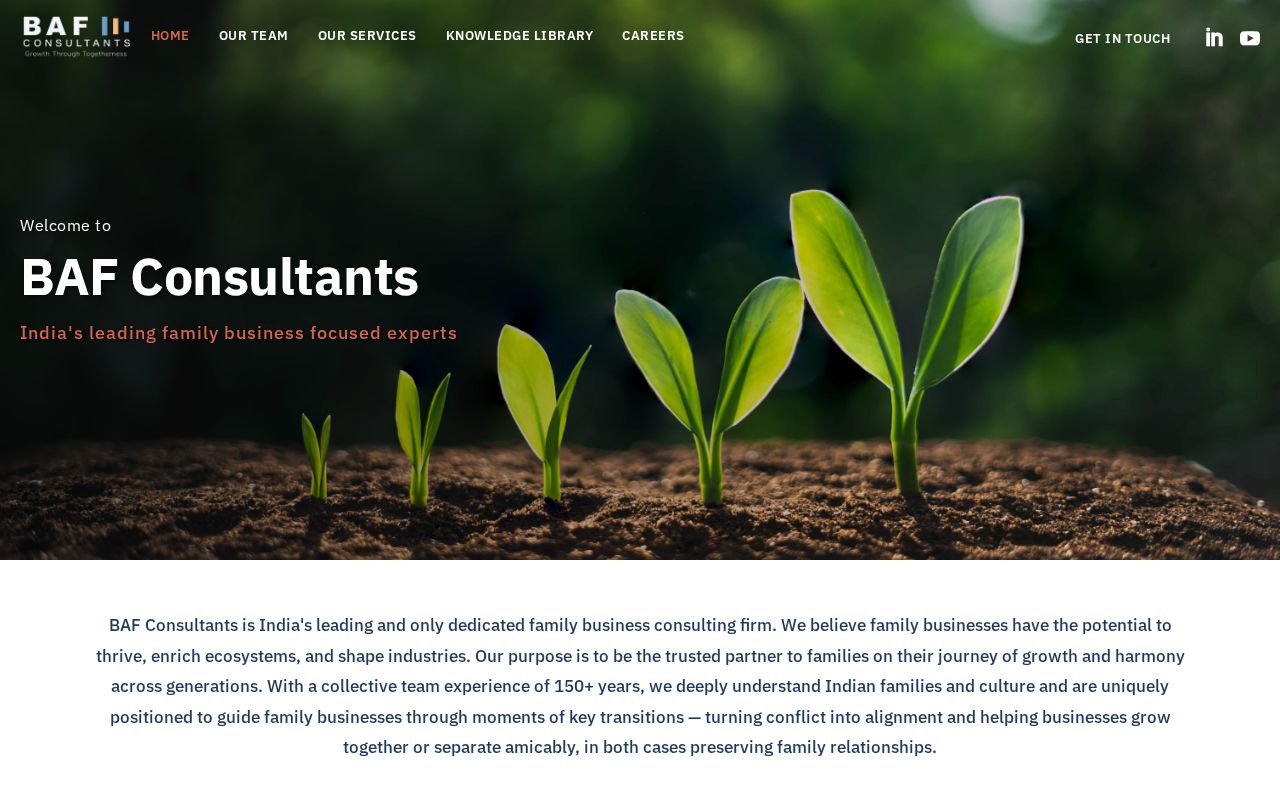 BAF Consultants screenshot